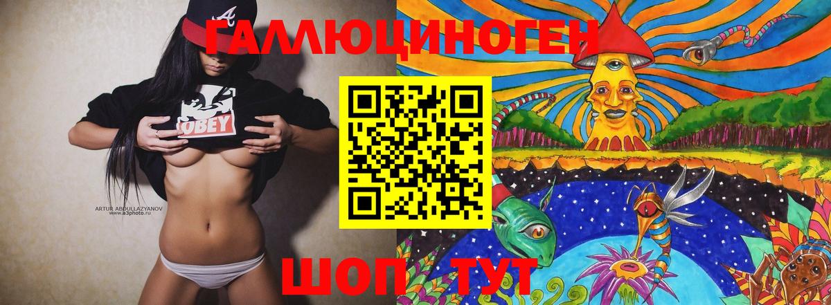 Галлюциногенные грибы Psilocybe Старая Купавна
